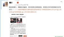 最新国际爆料消息新闻网,最新国际局势揭秘，重大事件背后真相曝光