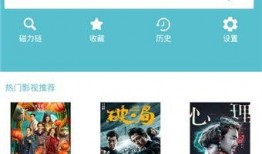 夜猫在线观看视频播放,揭秘深夜视频播放的秘密世界